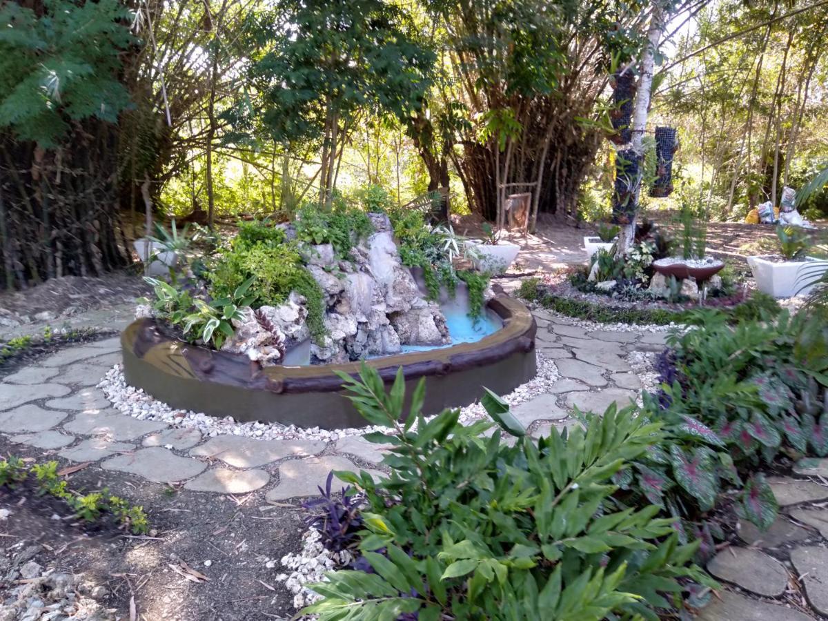 Albergue Banamboo Badian Exterior foto